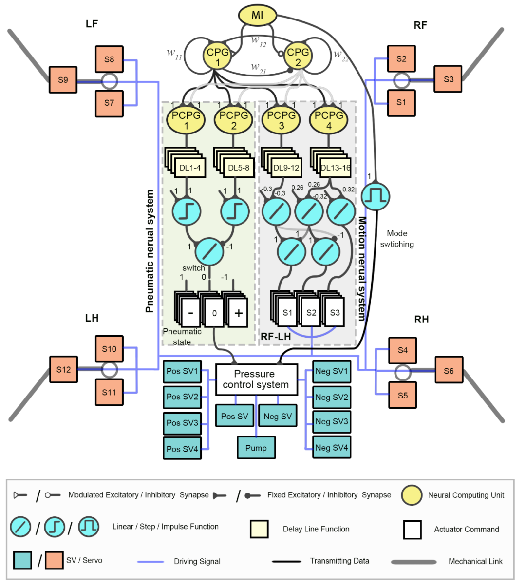 南航等高校团队研发新型壁虎机器人中枢神经控制策略(图6)